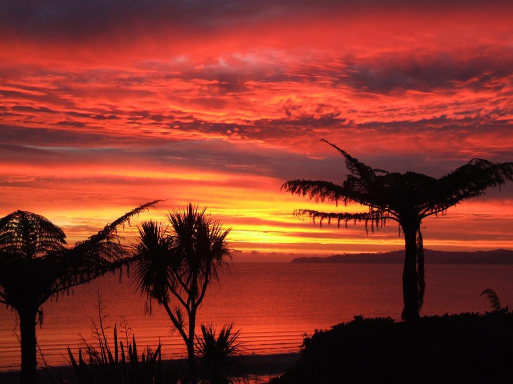 Adrift In Golden Bay- Absolute Beachfront Villas (Adults Only) Collingwood Oda fotoğraf